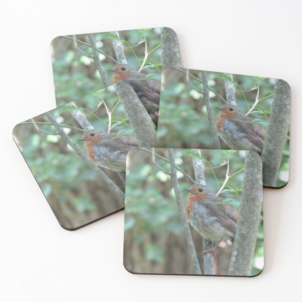Item preview, Summer robin. designed and sold by joshuarainbird.