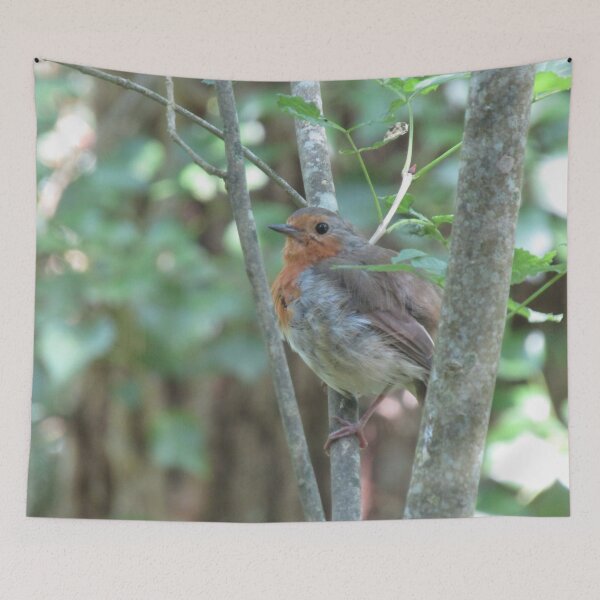 Item preview, Summer robin. designed and sold by joshuarainbird.