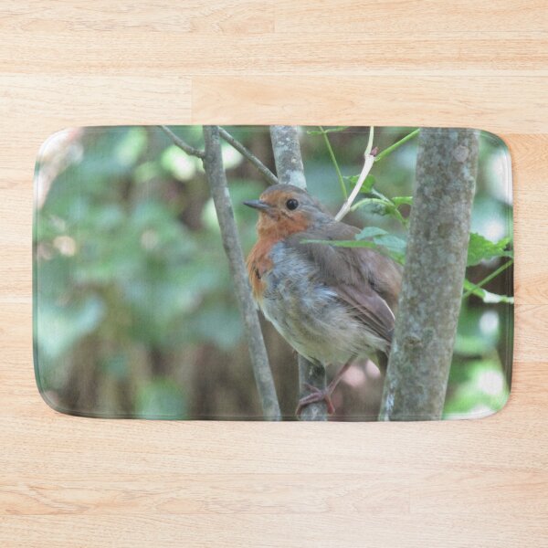 Item preview, Summer robin. designed and sold by joshuarainbird.