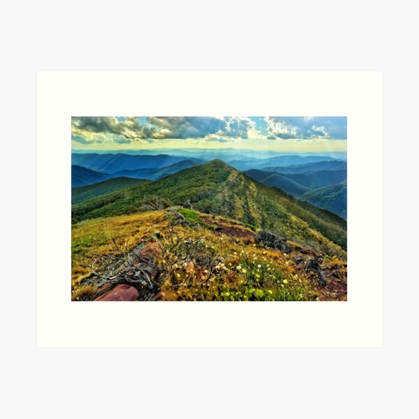 Item preview, Wildflowers on Mount McDonald designed and sold by Kevin McGennan.