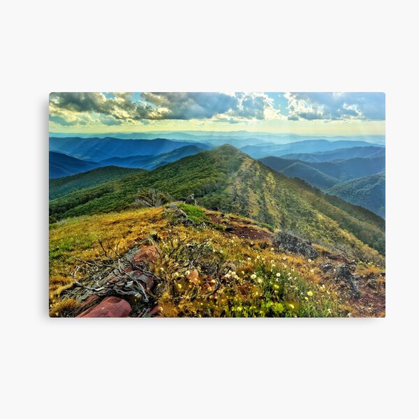 Item preview, Wildflowers on Mount McDonald designed and sold by Kevin McGennan.