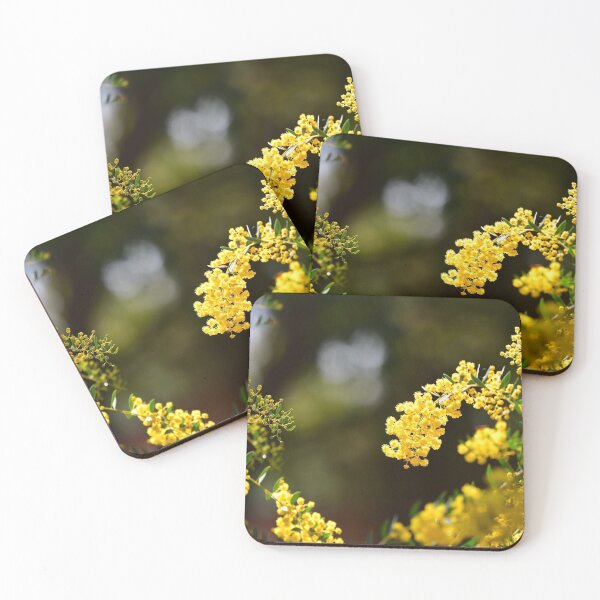 Artikelvorschau, Backlit Wattle entworfen und verkauft von notjustamwac.