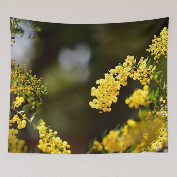 Item preview, Backlit Wattle designed and sold by notjustamwac.