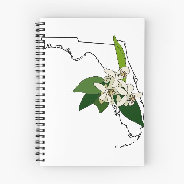 Item preview, Florida State Flower designed and sold by claireepete.