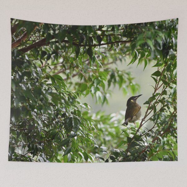 Item preview, Honeyeater in the trees designed and sold by notjustamwac.