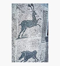 Boar and Stag Corporation Square Ostia 19840317 0019 Photographic Print
