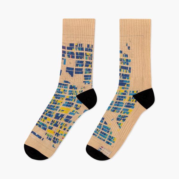 Item preview, 1954 building age map of Mount Pleasant in blue and gold designed and sold by FOVCA.
