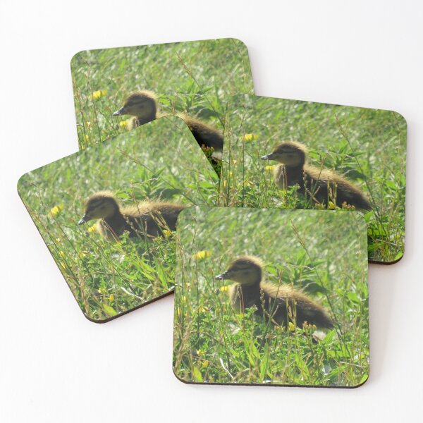 Item preview, Fuzzy Ducklings designed and sold by mlh-photoss.