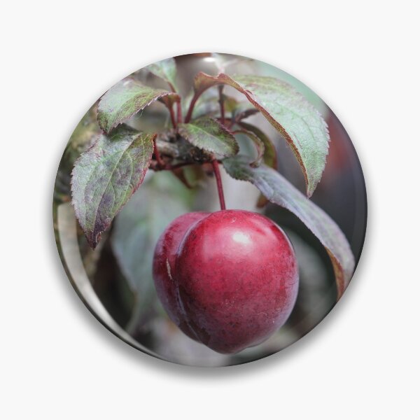 Item preview, Ripe for the Picking designed and sold by Tracy Friesen.