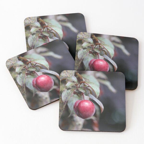Item preview, Ripe for the Picking designed and sold by Tracy Friesen.