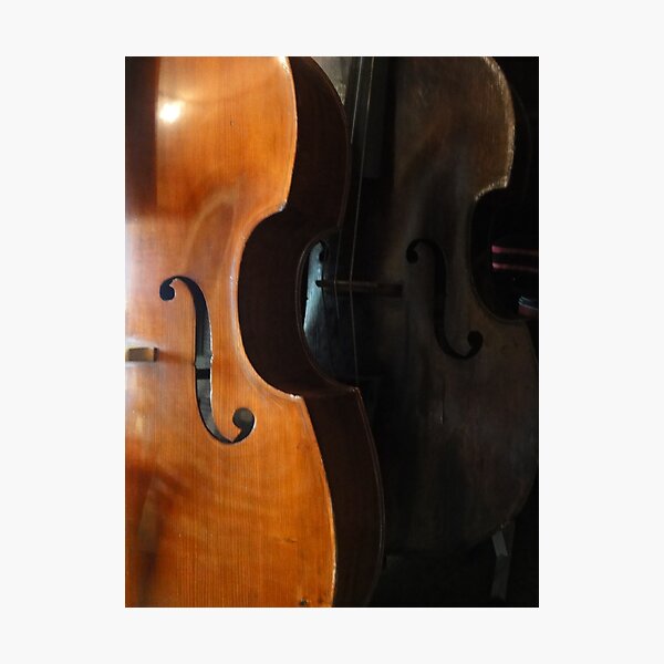 Item preview, Double double Bass designed and sold by neon-gobi.