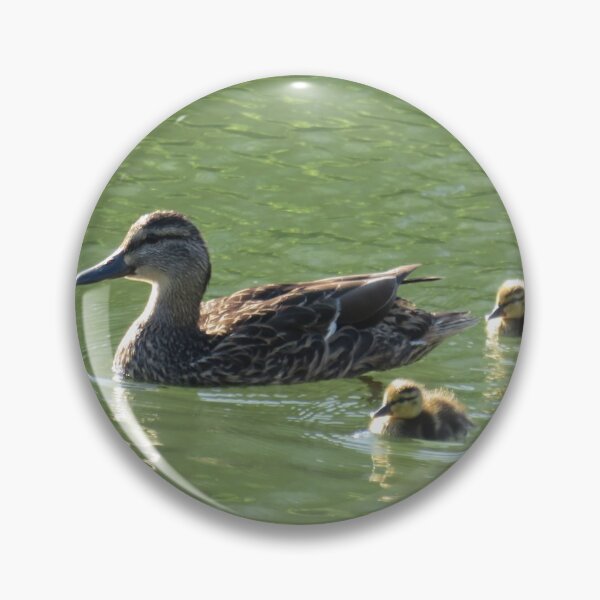 Item preview, Momma Duck and her Ducklings designed and sold by mlh-photoss.