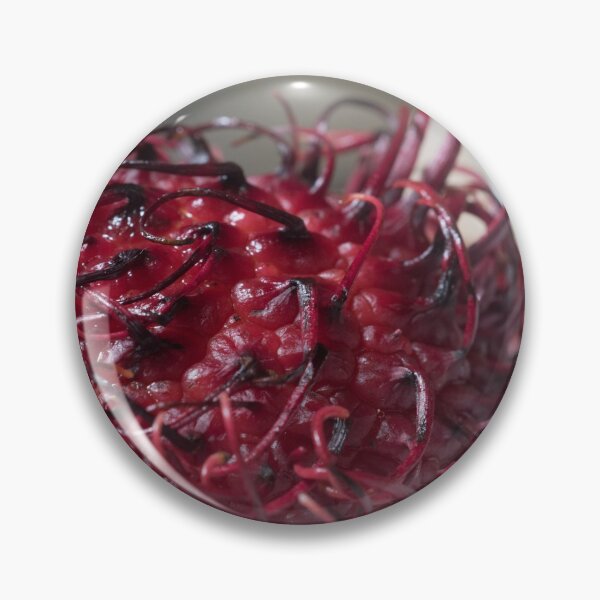Item preview, Rambutan Still life designed and sold by KensLensDesigns.