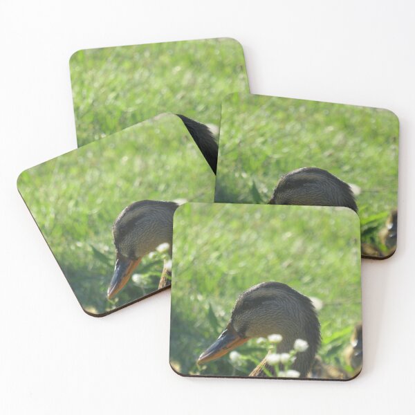Item preview, Momma Duck designed and sold by mlh-photoss.