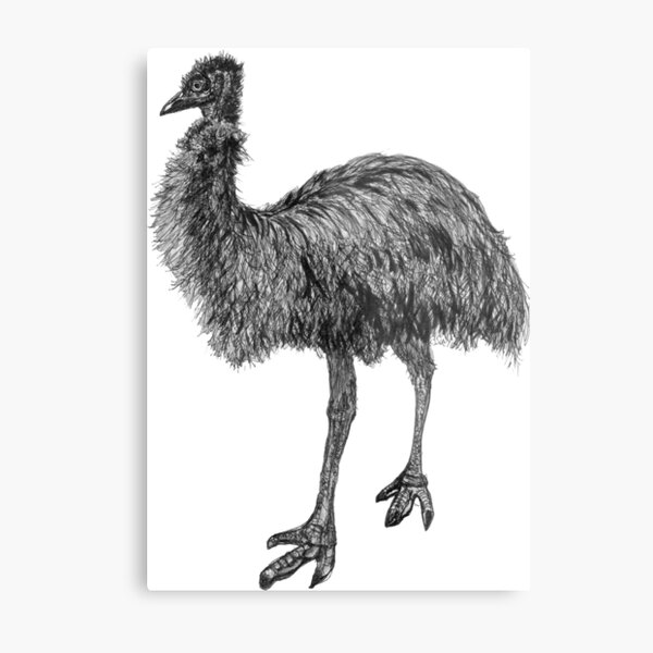 Fluffy the Emu Metal Print
