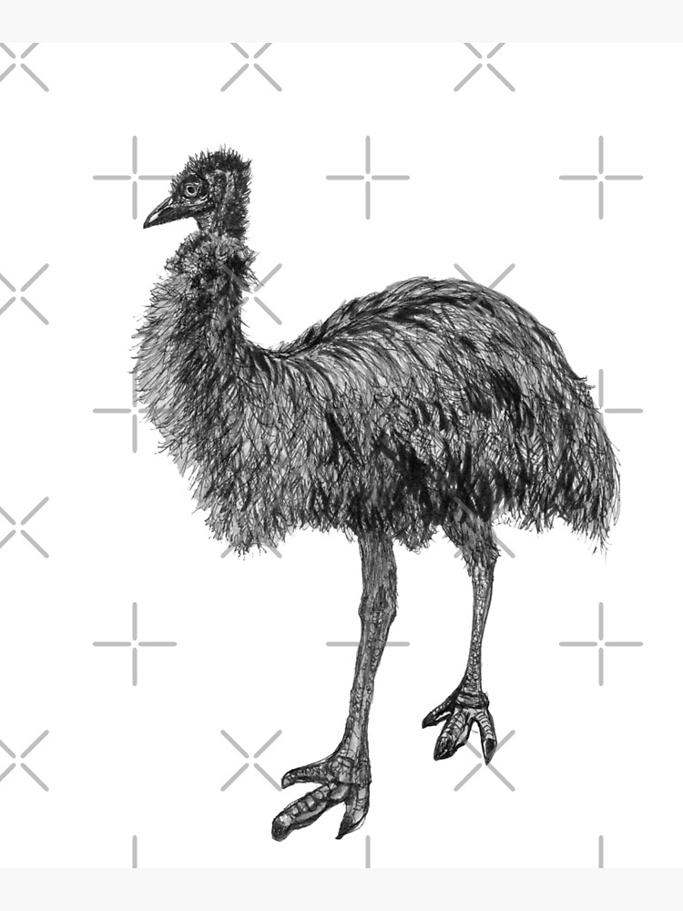 Fluffy the Emu by Wildcard-Sue