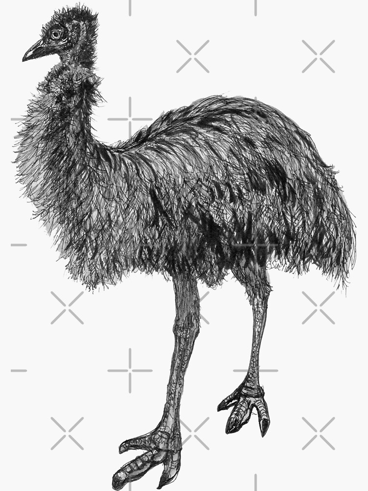 Fluffy the Emu by Wildcard-Sue