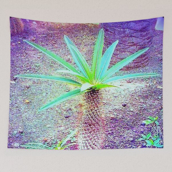 Item preview, Palm tree cactus.  designed and sold by Maggamaria79.