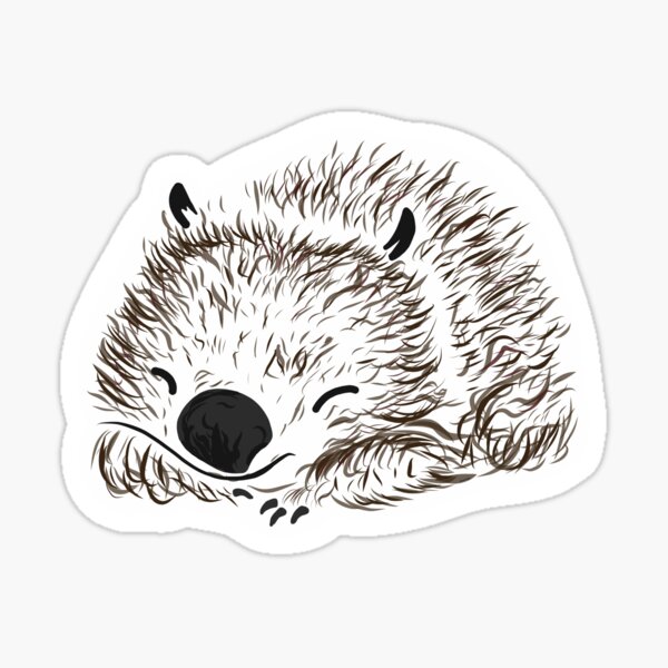 Cute Wombat Sticker