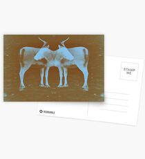 Reindeer Cross Postcards