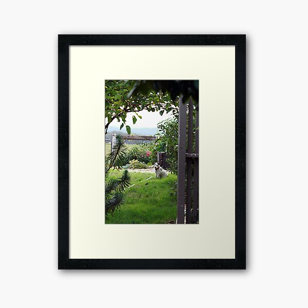Murph the Dog Framed Art Print