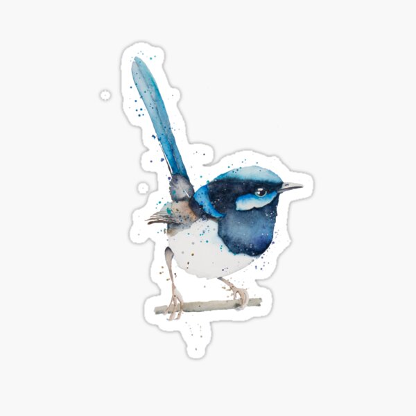 Item preview, Superb Blue Fairy Wren designed and sold by seartwork.