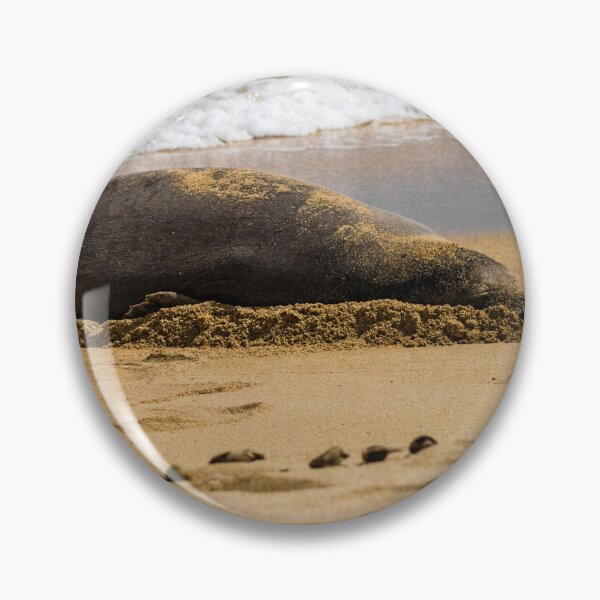 Item preview, Hawaiian monk seal designed and sold by KensLensDesigns.