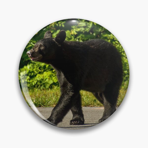 Item preview, Bear designed and sold by sfranklund.