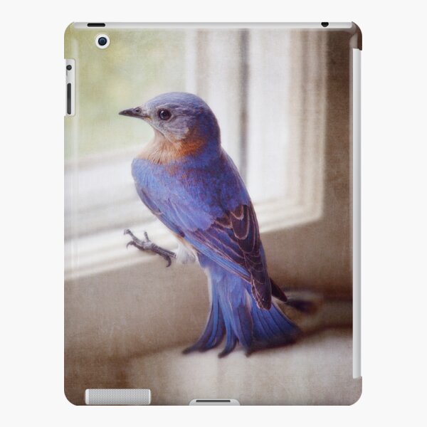bluebird in the kitchen iPad Snap Case
