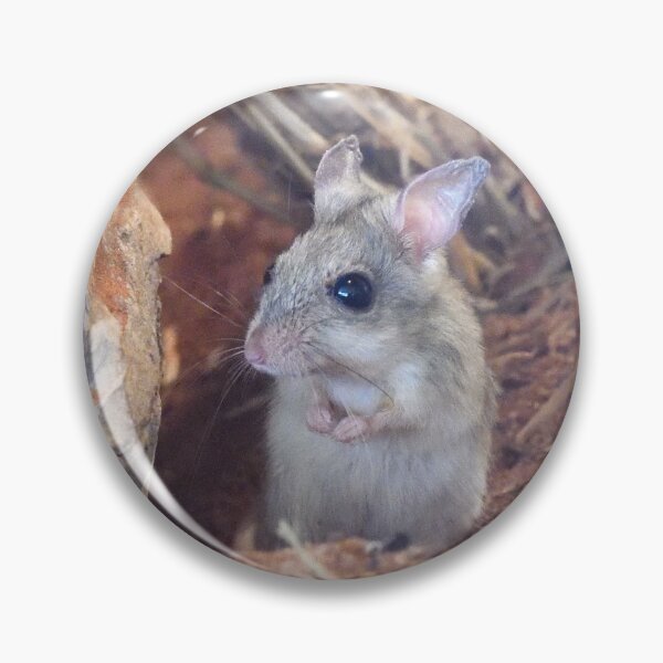 Item preview, Spinifex Hopping Mouse standing designed and sold by notjustamwac.