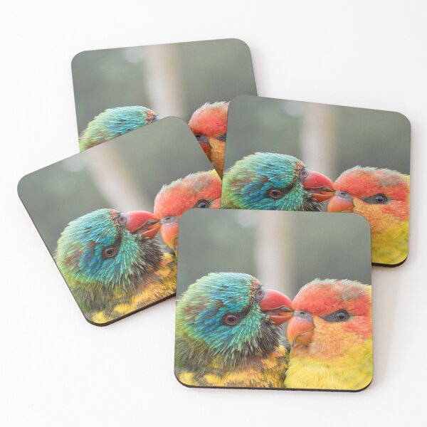 Item preview, Lovey hybrid Rainbow Lorikeets designed and sold by notjustamwac.