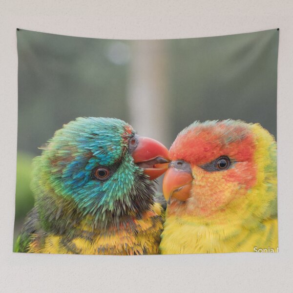 Item preview, Lovey hybrid Rainbow Lorikeets designed and sold by notjustamwac.