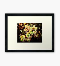 Nature Framed Print