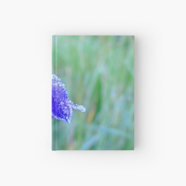 Watercolor Flower, Parry's Bellflower 03, Lost Creek Wilderness, Colorado Hardcover Journal