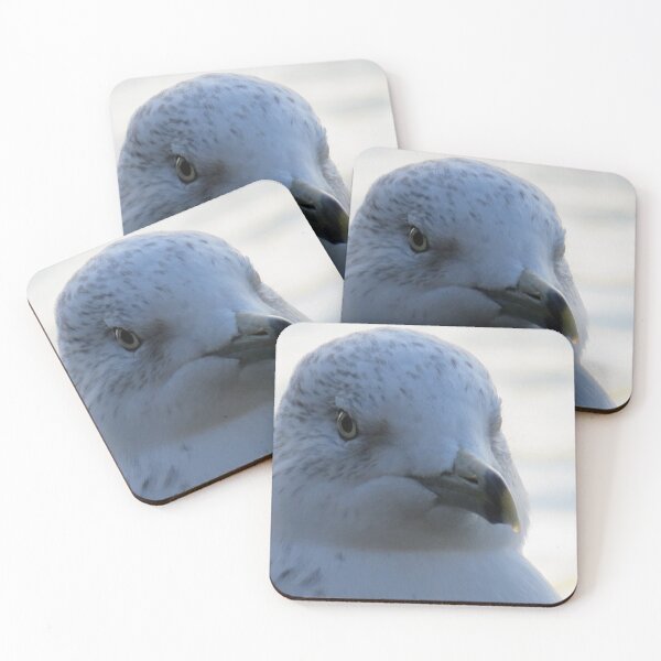 Item preview, Photogenic Seagull  designed and sold by mlh-photoss.