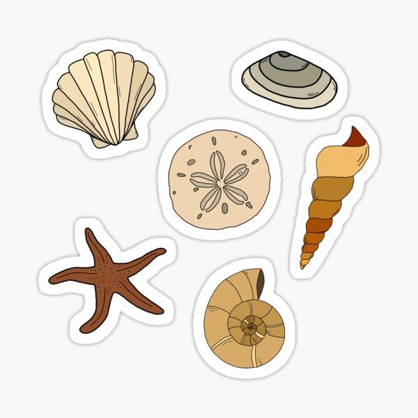 Sand Dollar Watercolor Sticker