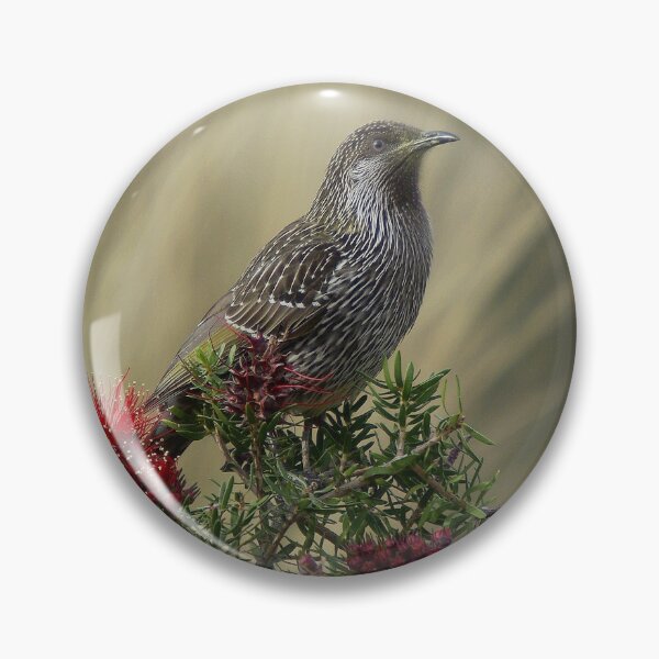 Item preview, Little Wattle bird designed and sold by UncaDeej.