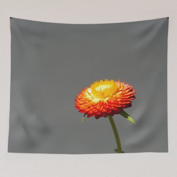 Item preview, Fiery paper daisy designed and sold by notjustamwac.