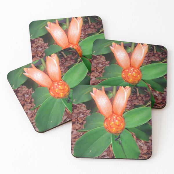 Item preview, Unusual Orange Bloom designed and sold by EnticingRose.
