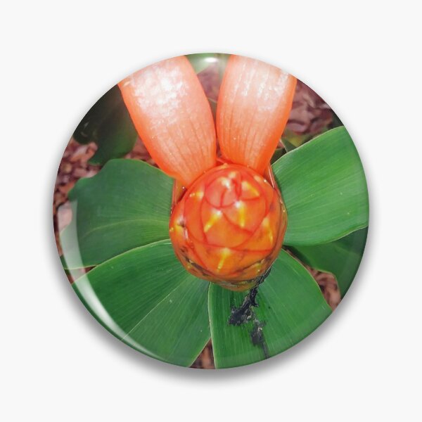 Item preview, Unusual Orange Bloom designed and sold by EnticingRose.