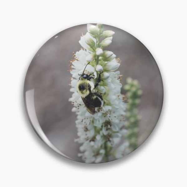 Item preview, Busy Bee designed and sold by Gotham Gumbo.