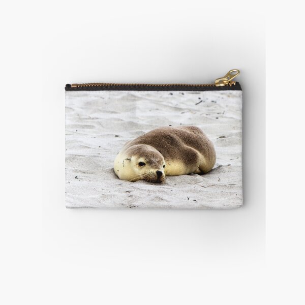 Item preview, A baby sea lion at Seal Bay, Kangaroo Island designed and sold by Elana Bailey.