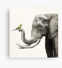 New Friend Canvas Print
