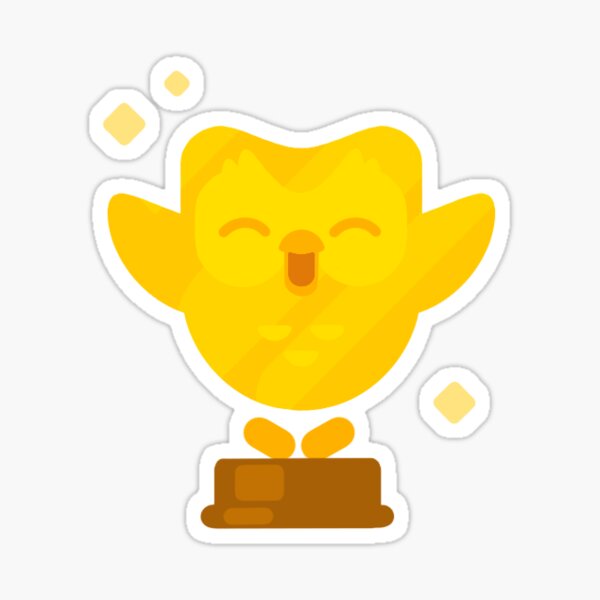 duo owl duo owl