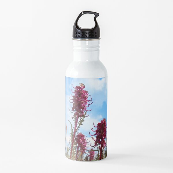 Watercolor Flower, Elephant's Nose 01, Niwot Ridge, Colorado Water Bottle