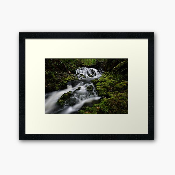 Item preview, Quail Cascades designed and sold by Robert Mullner.