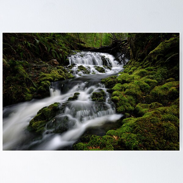 Item preview, Quail Cascades designed and sold by Robert Mullner.