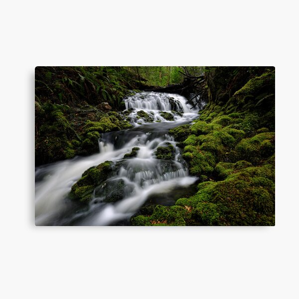 Item preview, Quail Cascades designed and sold by Robert Mullner.
