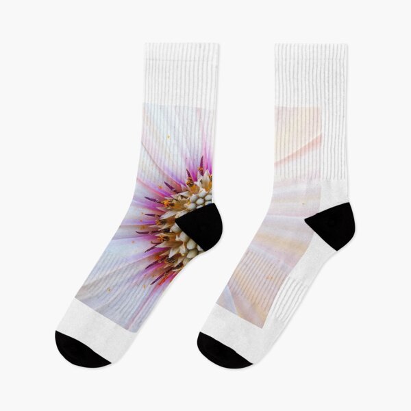 Item preview, African daisy designed and sold by BerylBez.