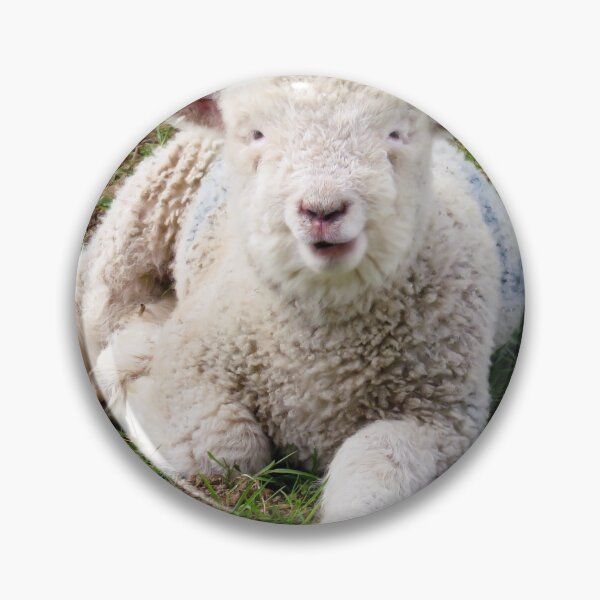 Item preview, Baby lamb designed and sold by BerylBez.